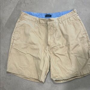 Southern Marsh Tan Flat Front Shorts
